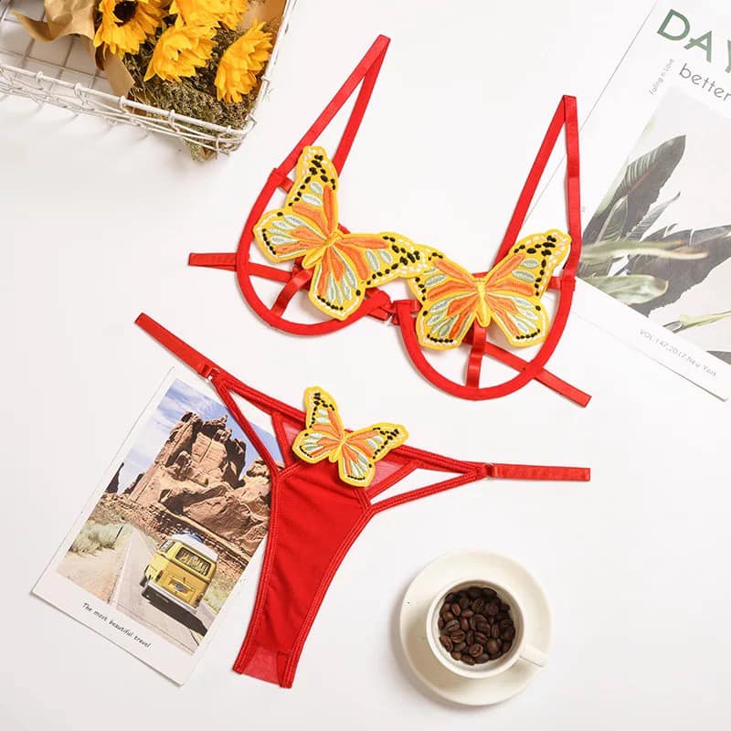 Fly Away 2 Piece Lingerie Set