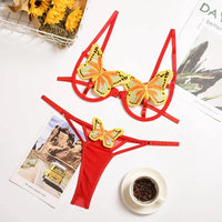 Fly Away 2 Piece Lingerie Set