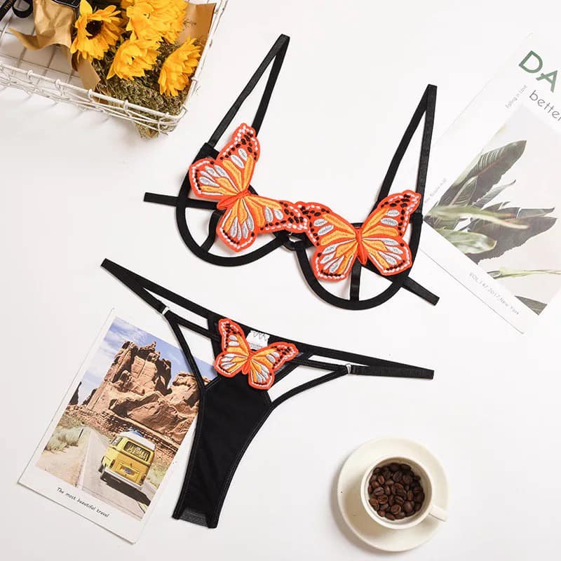 Fly Away 2 Piece Lingerie Set